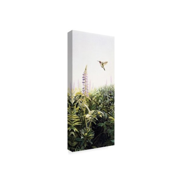 Rusty Frentner 'Hummingbird' Canvas Art,20x47